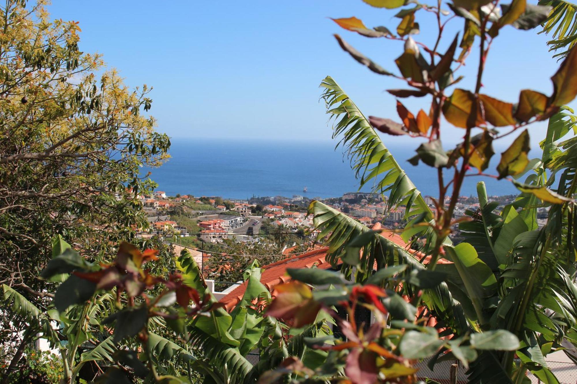 Alojamento Funchal - Silvestre House Экстерьер фото